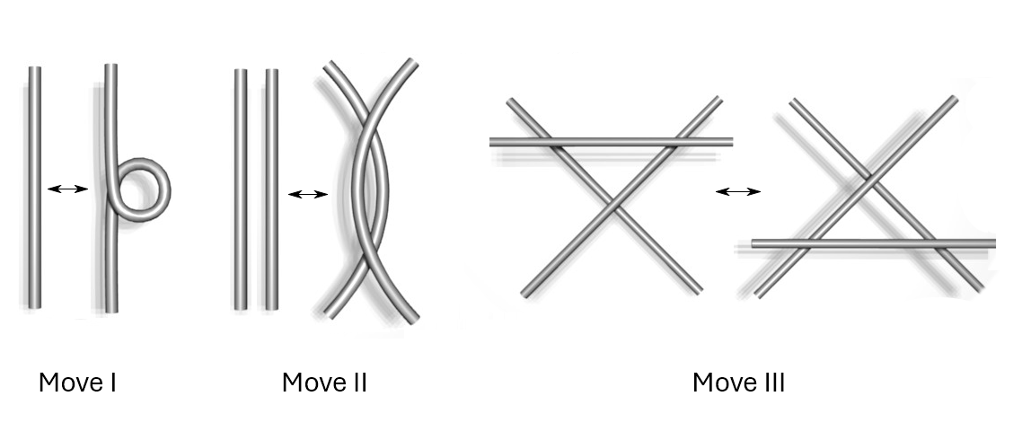 The three Reidemeister moves: adding or removing a twist, adding or removing two crossings, and sliding a strand across a crossing. Composite image based on files by YAMASHITA Makoto, via Wikimedia Commons (I, II, III), licensed under CC BY-SA 3.0, CC BY-SA 2.5/2.0/1.0, and GFDL.