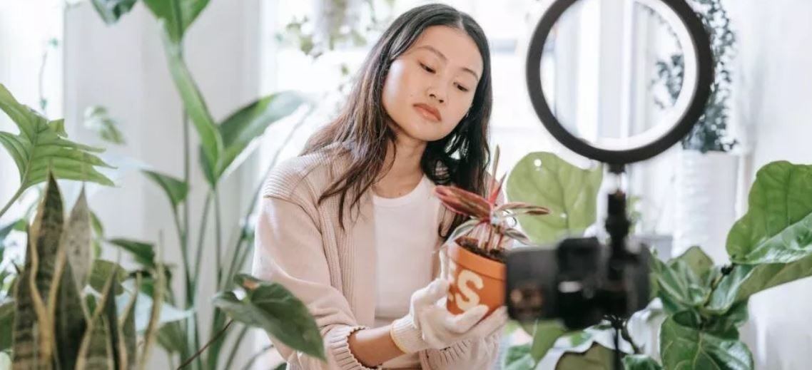 Bringing the Outside In: Elevate Your Space with Interior Plantscaping