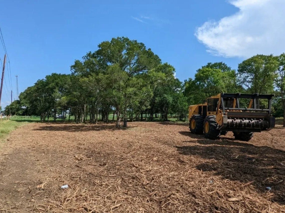 Maximizing Land Value with Forestry Mulching in Murrayville, NC North