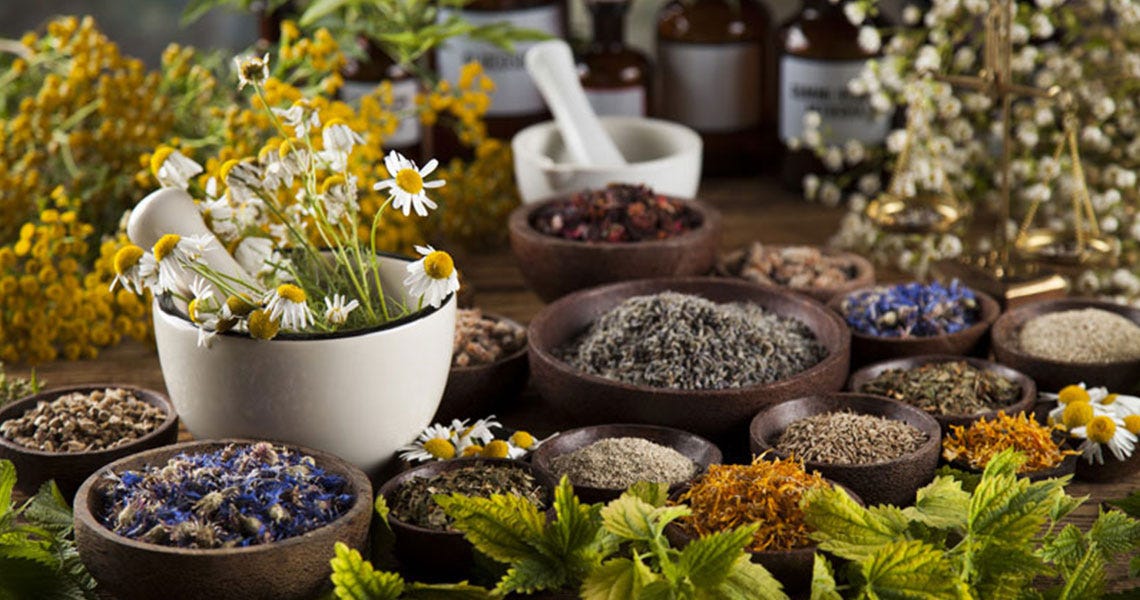 Naturopathy & Natural Therapies: A Holistic Path to Better Health