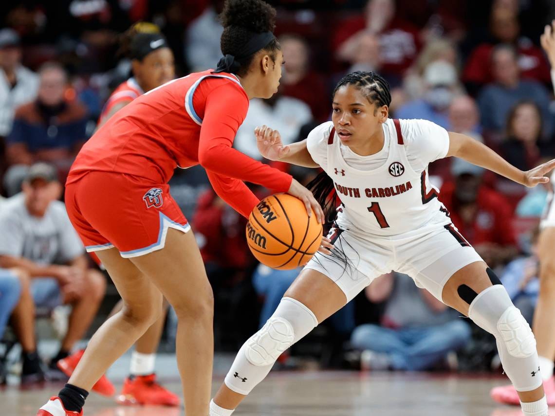 South Carolina Gamecocks Women’s Basketball Domination by Head Honcho