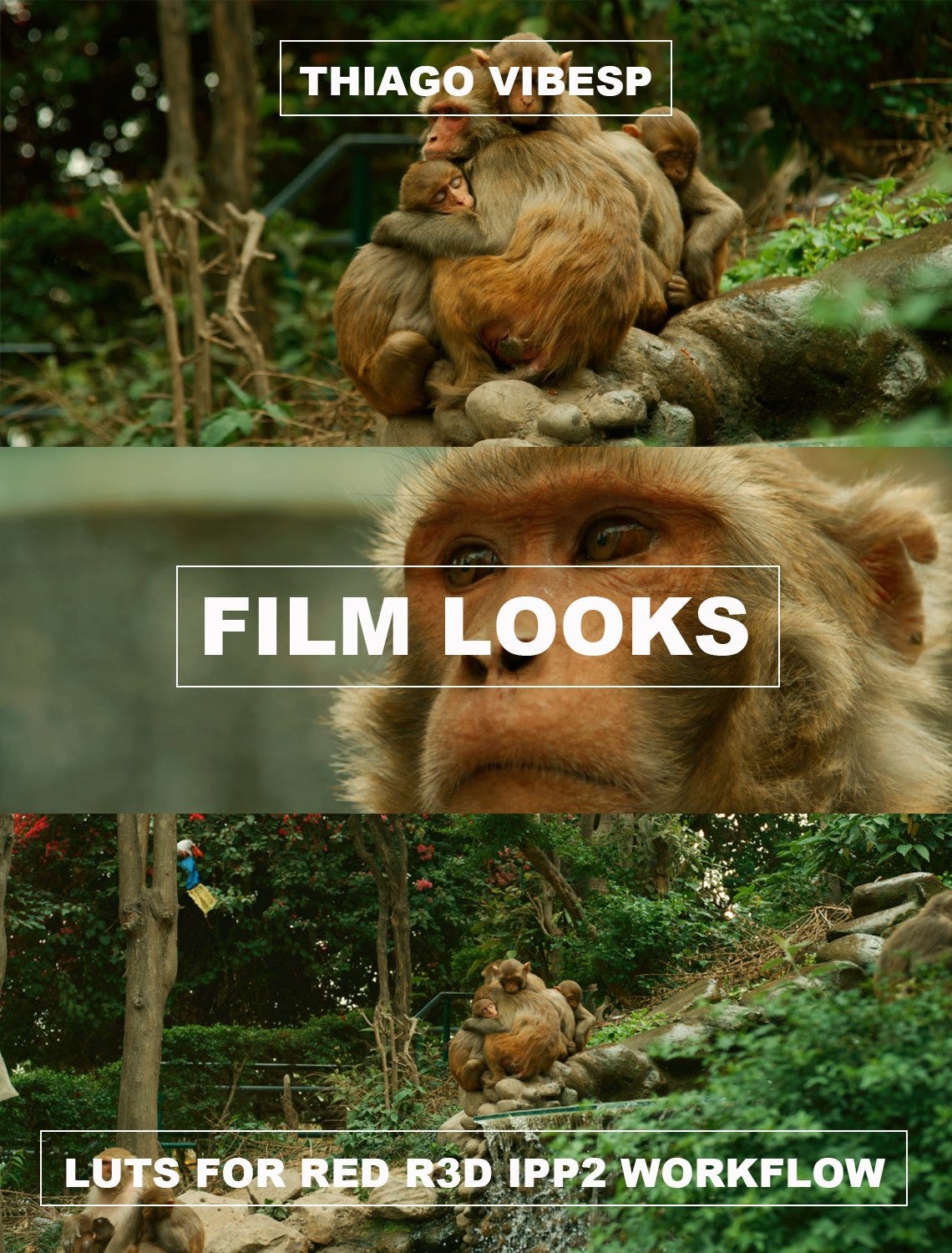 Film Looks — Red Cameras R3D Ipp2 Workflow - Thiago Vibesp - Medium