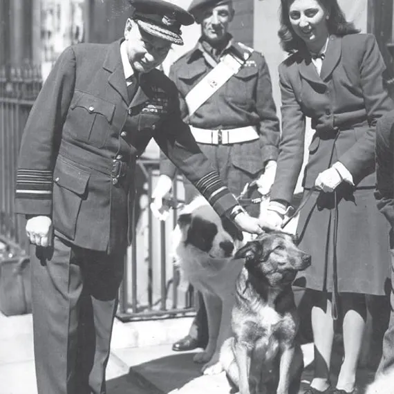 Bing (with owner Elizabeth Fetch) received the Dickin Medal