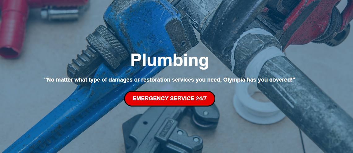 Swift Solutions for Plumbing Woes: Clogged Drain and Leak Detection