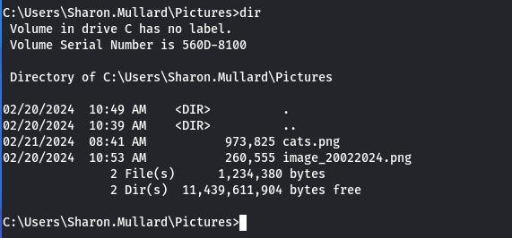 HackTheBox — Mist. Mist an insane difficult machine… | by ARZ101
