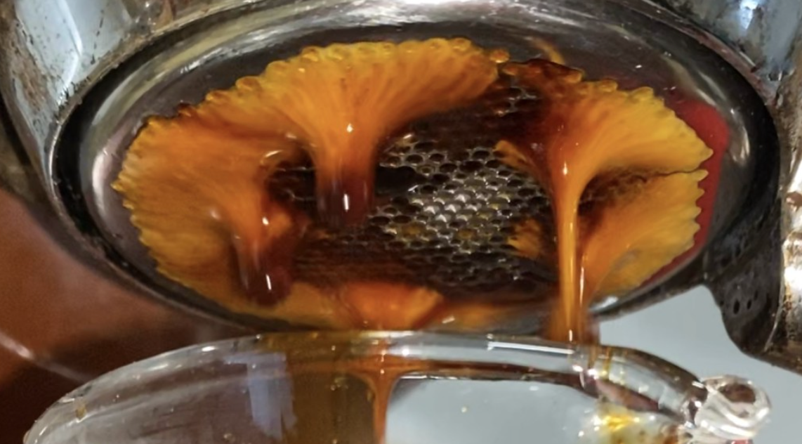 Espresso Machine Donuts Deeper Analysis into Extraction by Robert