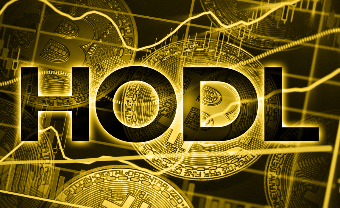 Ser Holder en Bitcoin o altcoins. Hace unos años, comencé mi aventura en… |  by Josem0017 | Medium