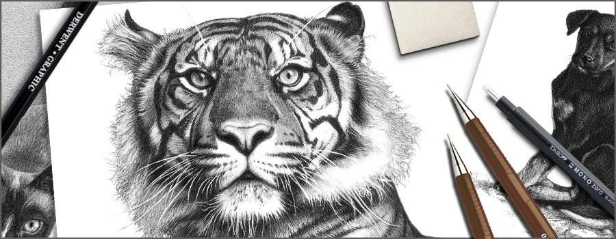 The Basic Skills of Drawing: Learn to Draw For Beginners