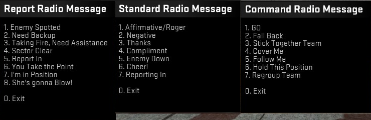 GO GO GO Sound Effect (Counter Strike Radio Commands) 