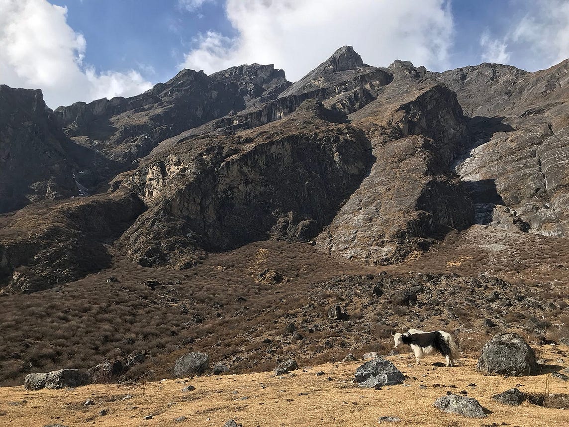 Travel and Tragedy in the Langtang Valley