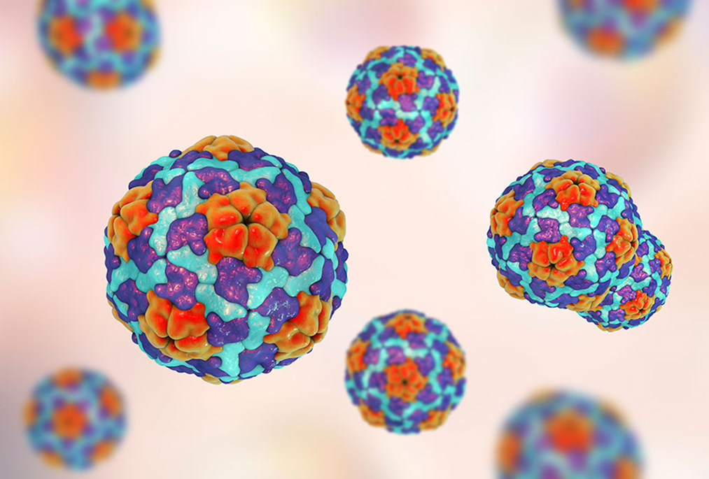 Outbreak of Hepatitis in a rural community
