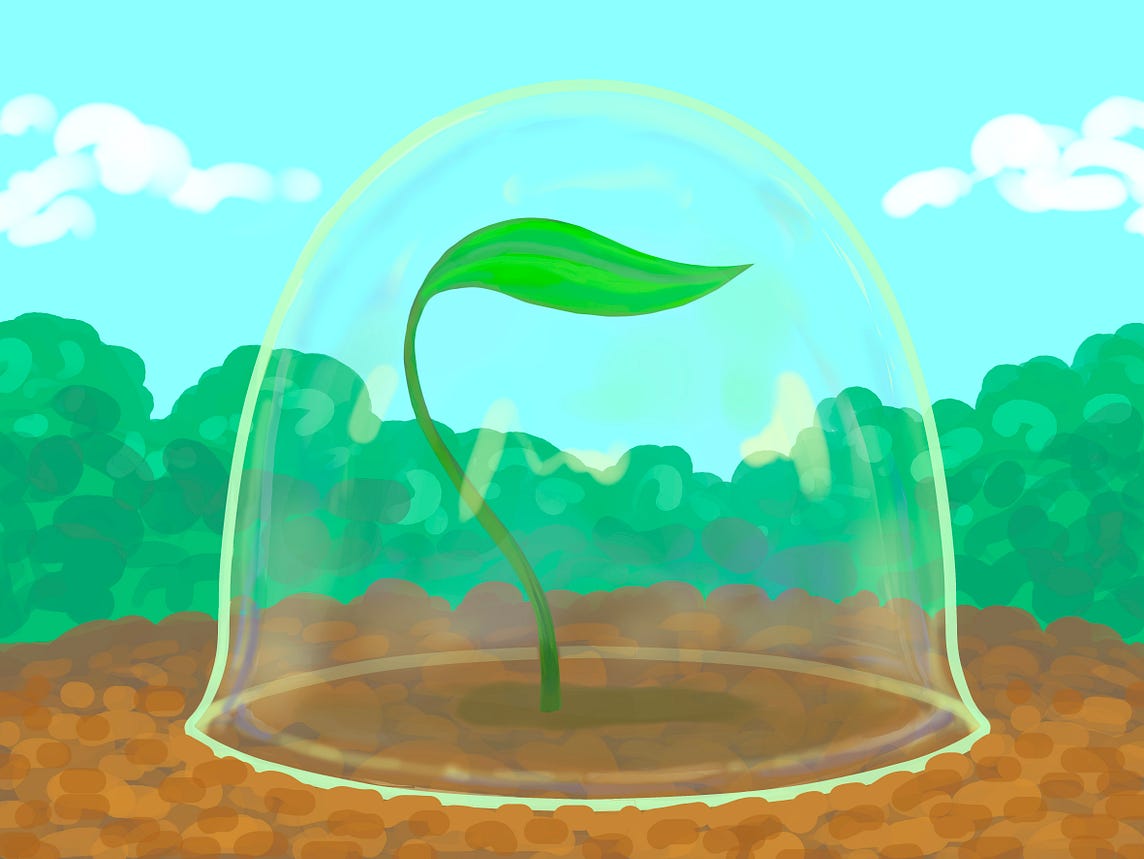 Unlocking sustainability with transparency