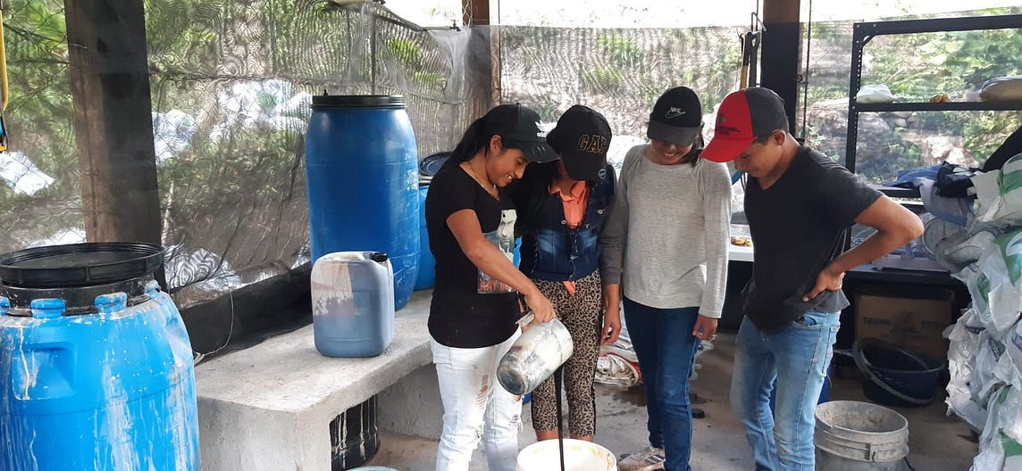 Enriching Crop Production Through the Use of Mountain Microorganism Bio-Inputs