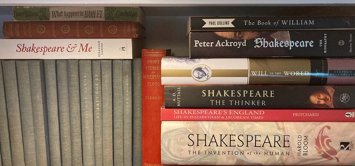 Various plays and books about Shakespeare in tight focus on a bookshelf.