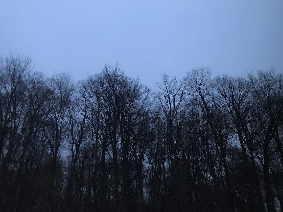 Winter’s Gloom Illuminates Me
