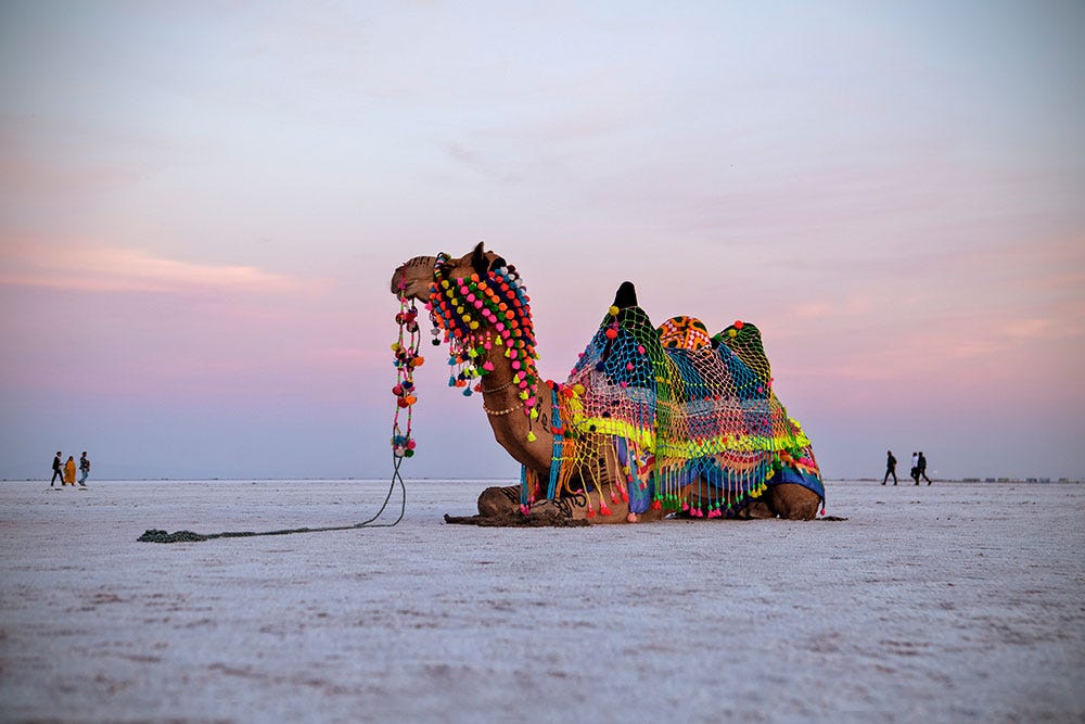 10 Best Places to Visit in Kutch