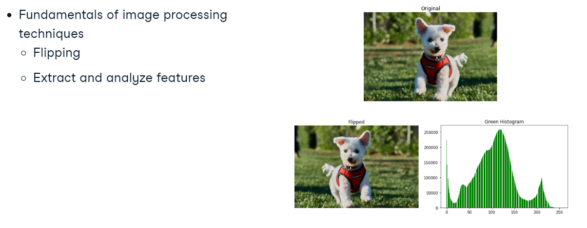 NumPy for images. You will learn some of the things you… | by Wajiha ...