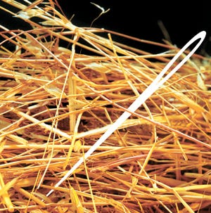 A needle in a haystack