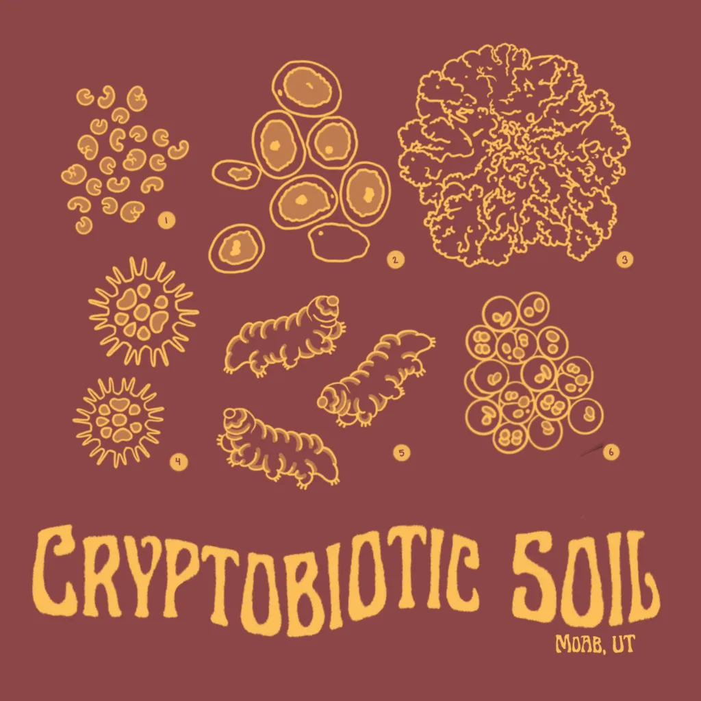 Living Desert Series Part I: The Cryptobiotic Soil of Moab, UT