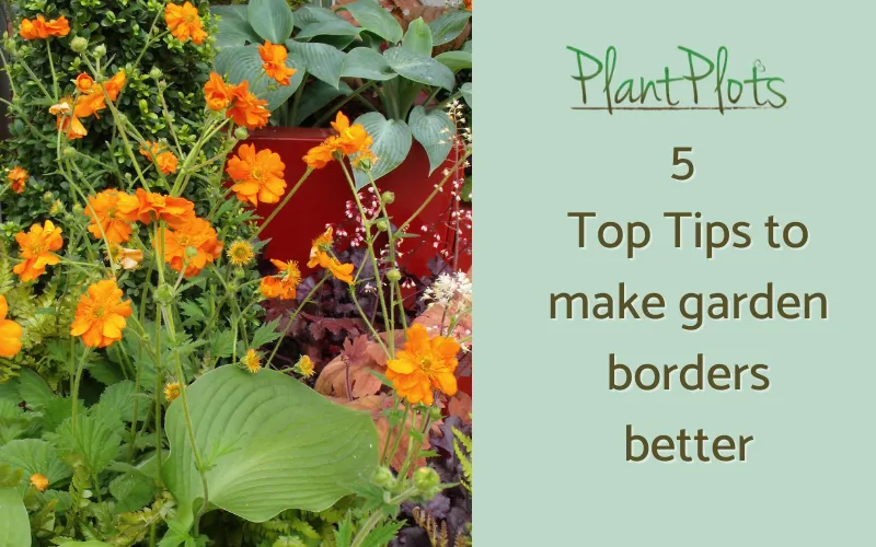 How to make garden borders better