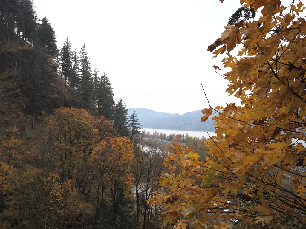 Oregon: Admiring the View from Multnomah Falls