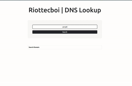 DNS Lookup Web Application
