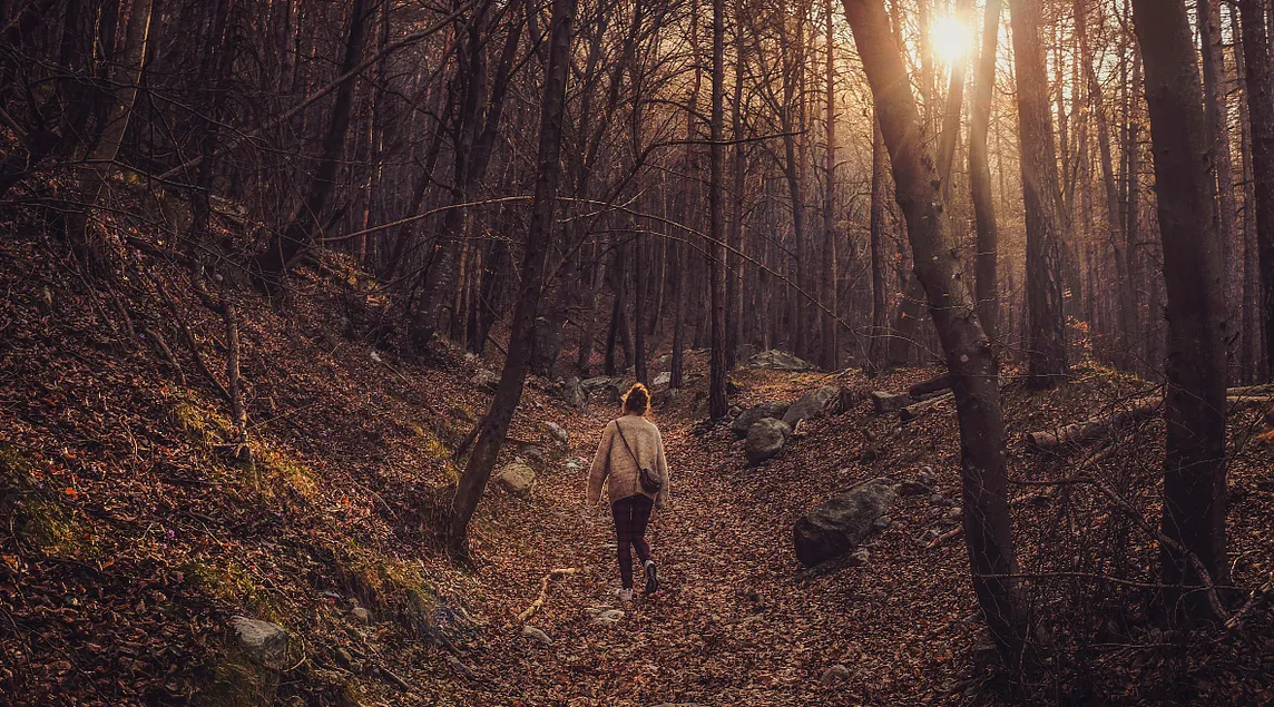 Woman walking into the woods where the sun glints through the bare tree branches.