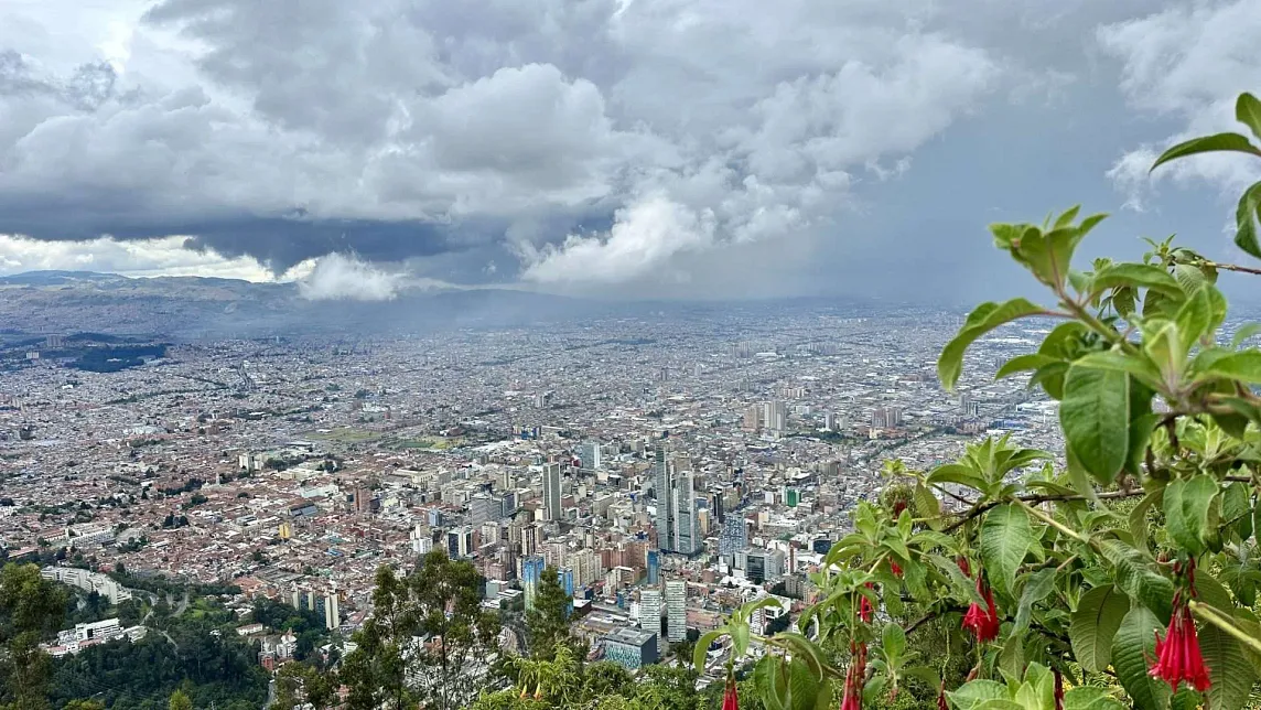 Aerial view of a sprawling cityscape under a cloudy sky, with green foliage in the foreground.