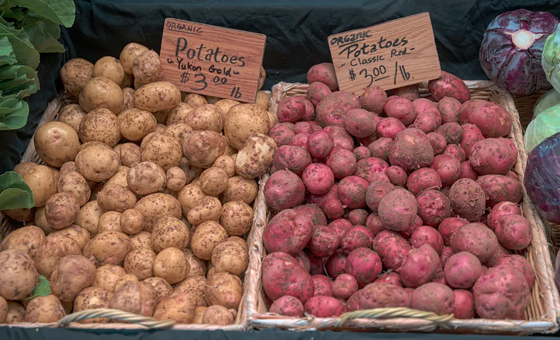 Two bins of potatoes, red and white, waiting to be roasted.