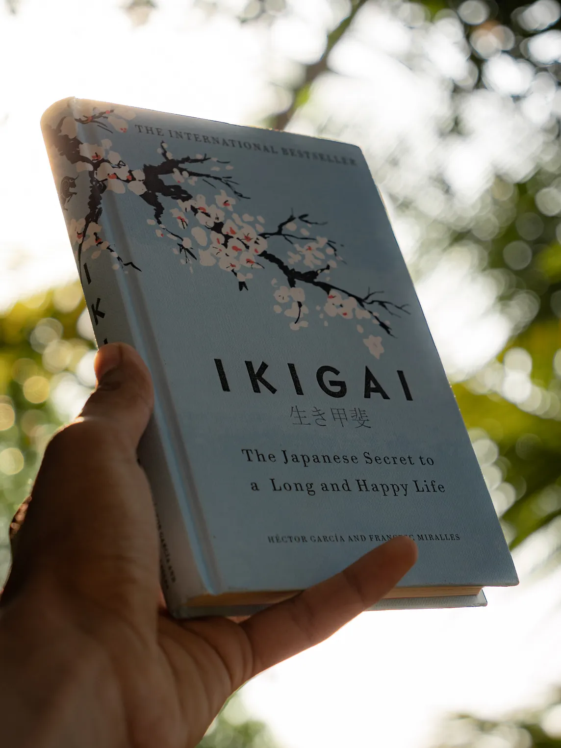 The Ikigai Book Held Under Trees