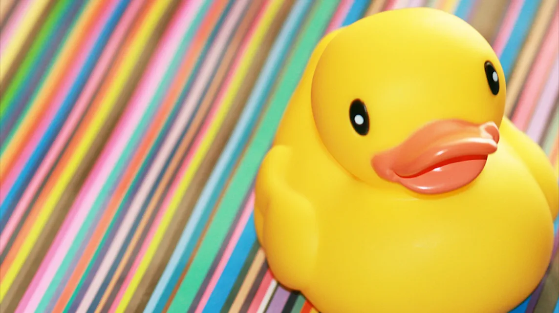 What I Learned From My Rubber Duckie Vibrator