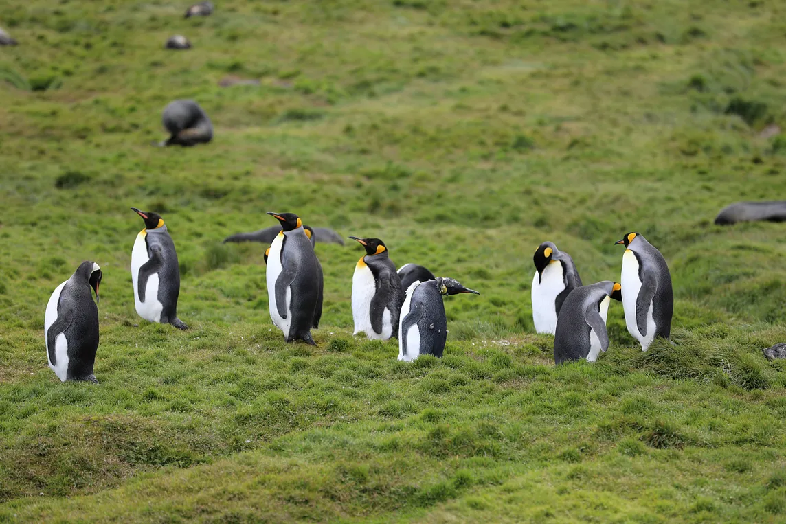 The Importance of Employee Engagement: Why Culture Lives in Conversations, Not Campaigns