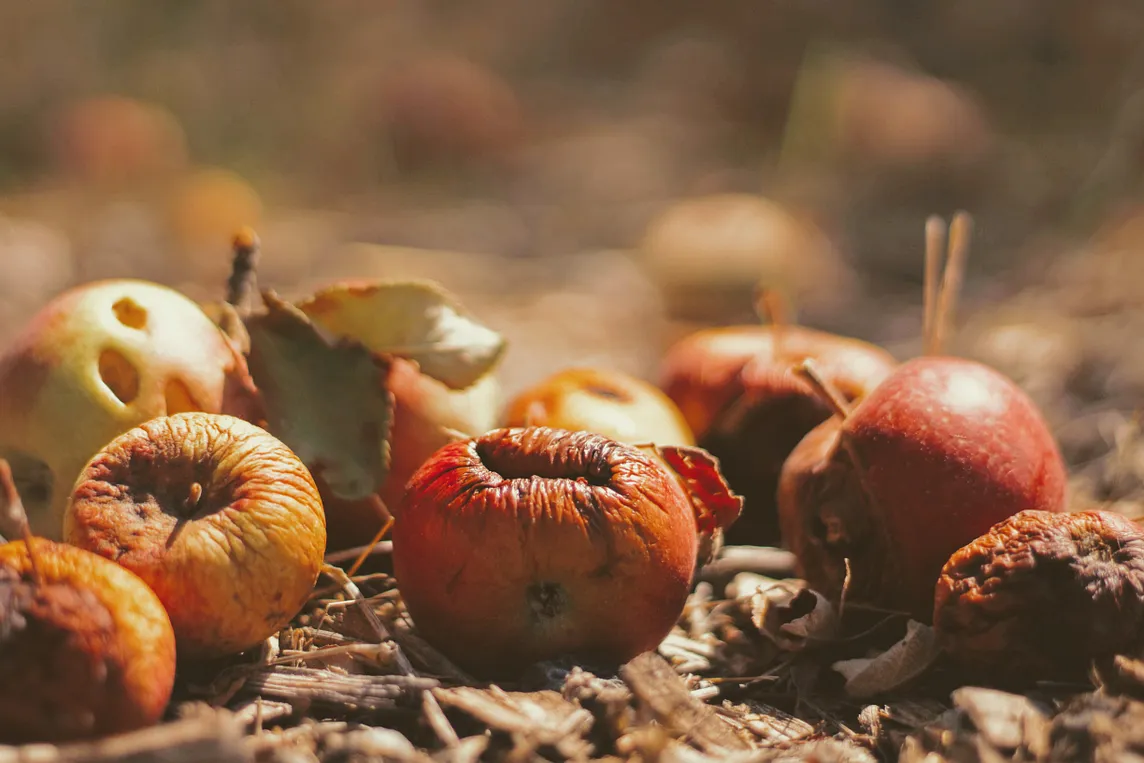 You Know You’re a Home Composter When…