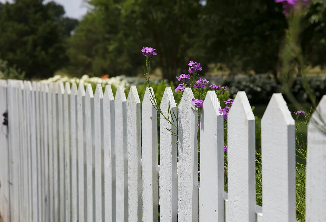 Can I Sit On Your Fence?