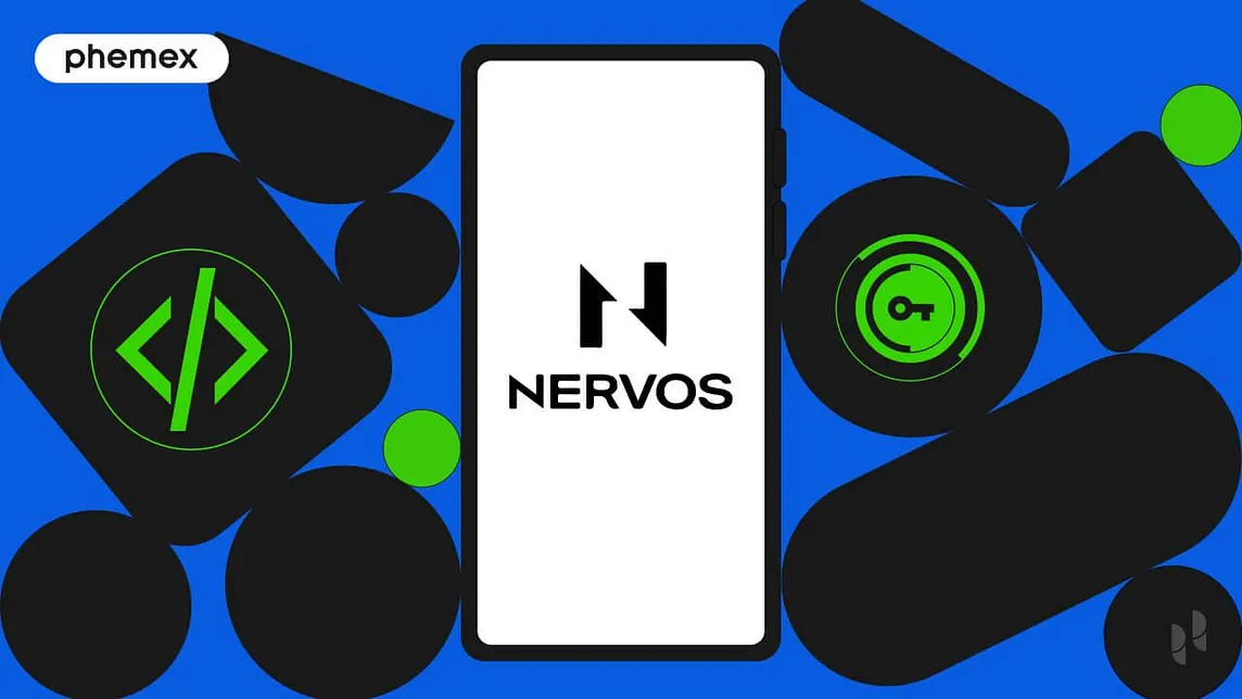 Nervos Network vs Kava: The Ultimate Cryptocurrency Platform Showdown