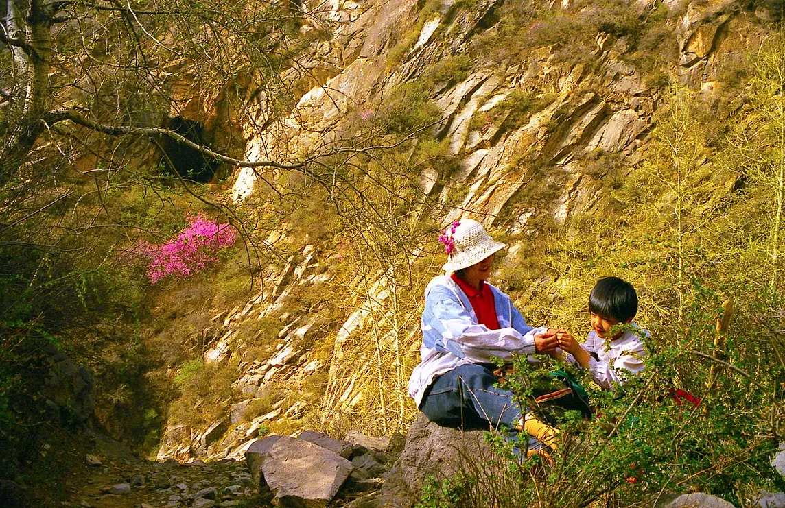 Jennifer’s Photo Stories(29) 曾錚的圖片故事（29） —Hiding from the Evil & Enjoying a Moment in Nature…