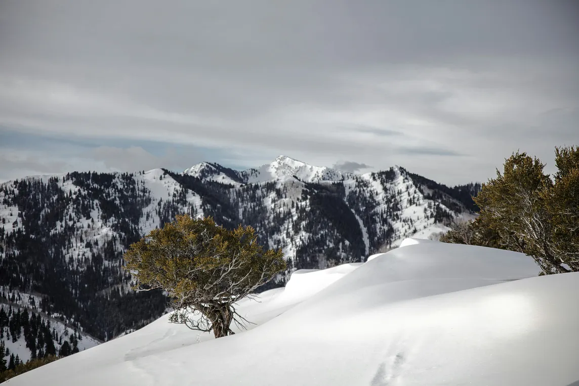 The writer pictures a snow-covered montain somewhere.