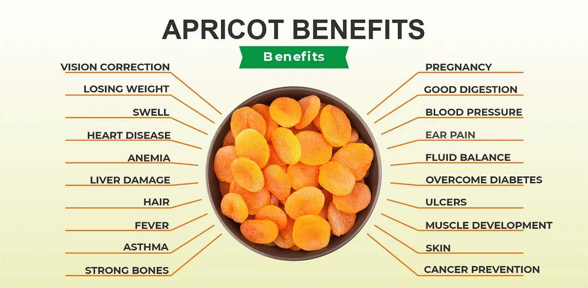 Apricot Benefits, Side Effect and Uses