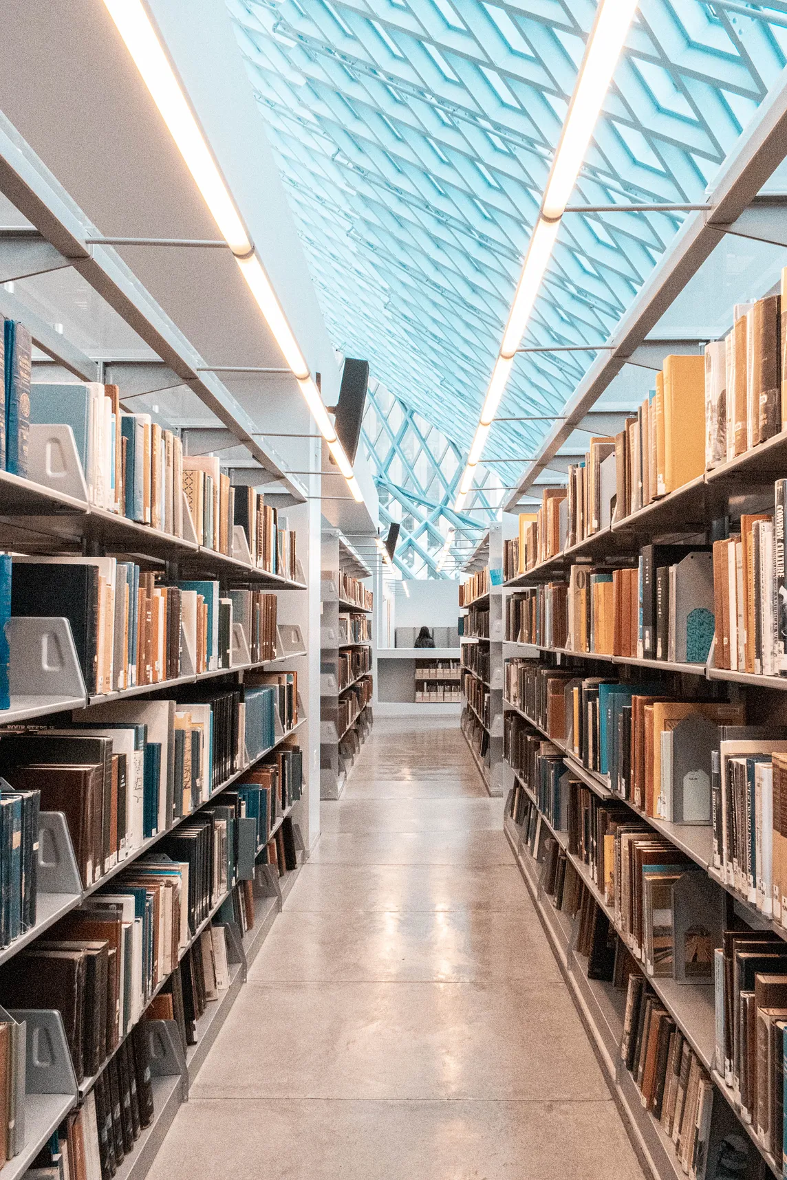 Public and Academic Libraries: What’s the Difference?