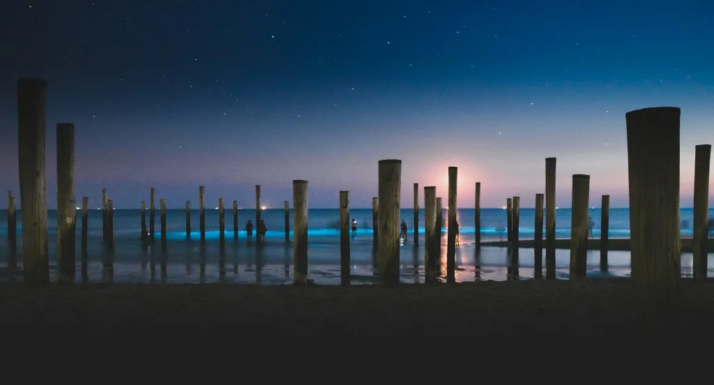 Palings on a beach, viewed from behind, towards the sea. The poles are almost silhouettes in the darkness.