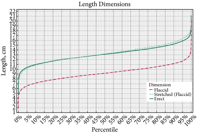 Dildo-Envy? The Average Dildo Size Compared To The Average Penis