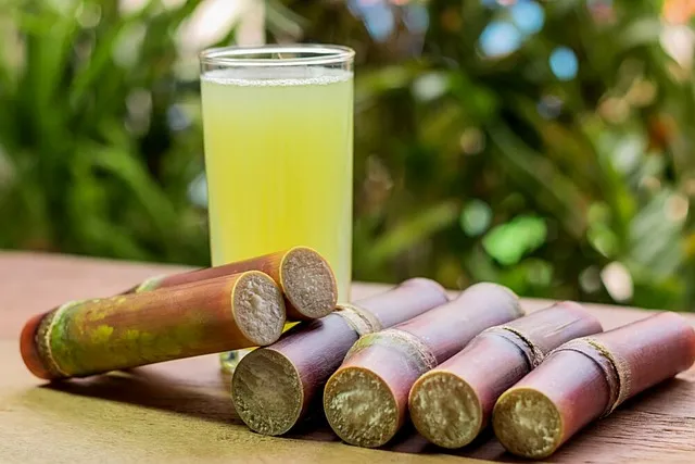 https://howtoplantation.com/fruit-crop/11-impressive-sugar-cane-health-benefits/