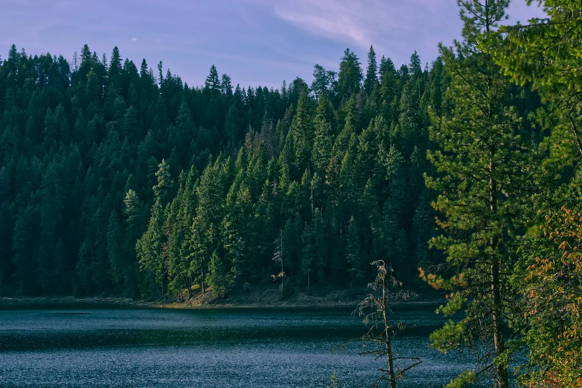 Kubernetes Deployment, Replication Controller and ReplicaSet Explained