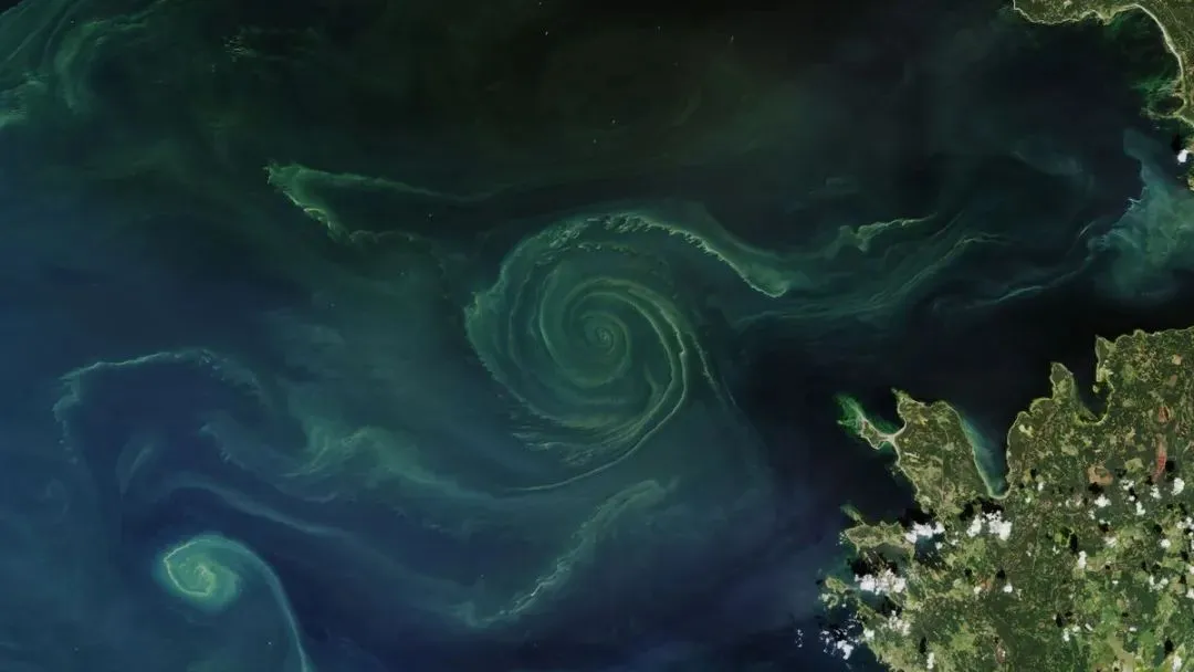 The Giant Green Whirlpool: A Warning of Toxic Algae Blooms