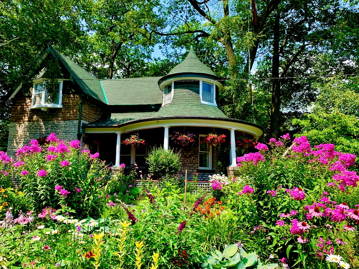 A rewilded garden where Nature takes over and allows biodiversity  to take place. The garden is an explosion of colour, surrounding an interesting period home. It’s easy to imagine the wonderful teems of life, quietly and busily churning away in safety.