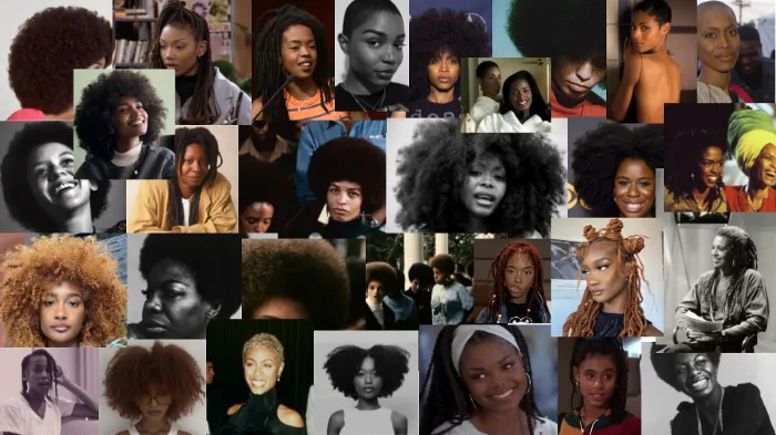 Opinion Piece: The Battle Of The Black Woman And Her Natural Hair.