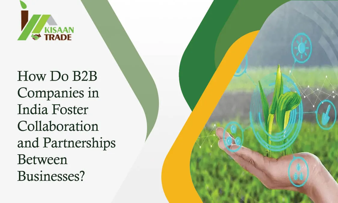 How Do B2B Companies in India Foster Collaboration and Partnerships Between Businesses?