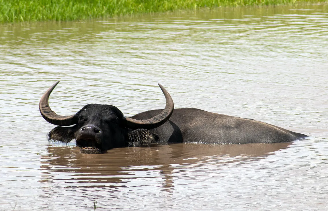 Cooling off ain’t cool