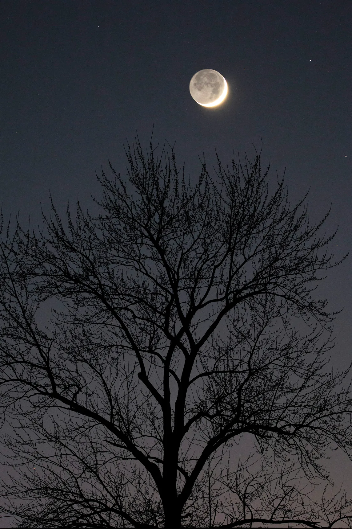 Moonlit walks