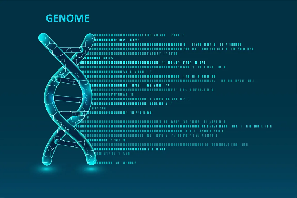 Advanced Neuro-Symbolic Genome Sequence Analysis with Hyperdimensional Computing and SHAP…